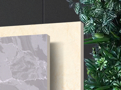 z6.com(�й���)�ٷ���վ