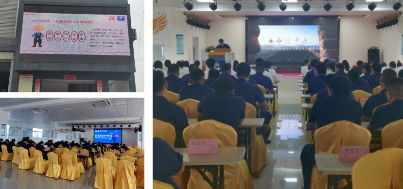 z6.com(�й���)�ٷ���վ