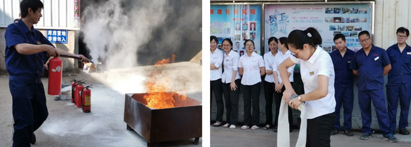 z6.com(�й���)�ٷ���վ